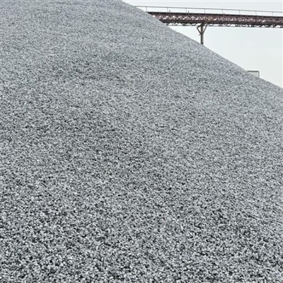 Calcium Carbonate Powder for Dogs